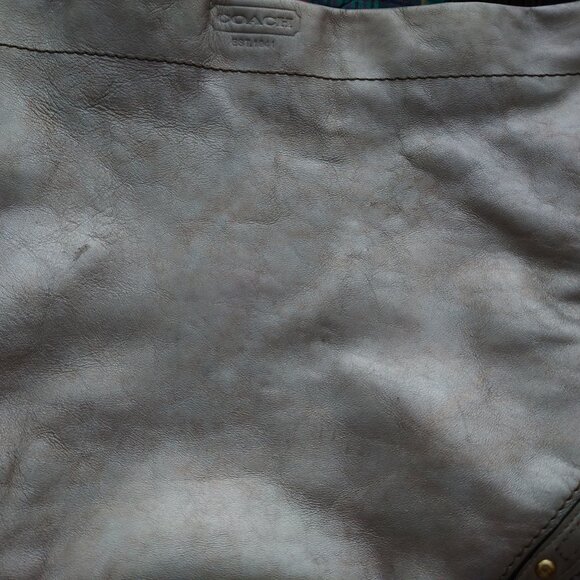 Coach Metallic Carly Hobo Bag - Picture 16 of 16